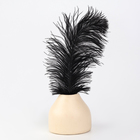 Перо для декора, размер: 30-35 см, цвет чёрный - Фото 3