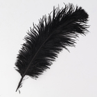 Перо для декора, размер: 30-35 см, цвет чёрный - Фото 4