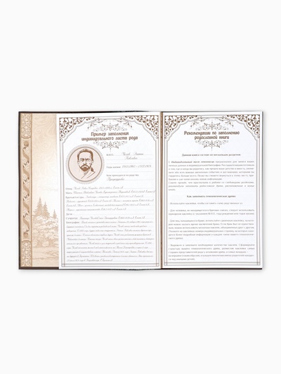 Родословная книга «Семейная летопись», перо, 50 листов, 22×31 см