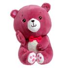 Мягкая игрушка «Мишутка», 22 см, цвета МИКС - фото 43241026