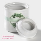 Сахарница-солонка Доляна «Эвкалипт», 150 мл, d=7 см, доломит, белая - Фото 3