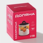 Сахарница-солонка Доляна «Эвкалипт», 150 мл, d=7 см, доломит, белая - Фото 12