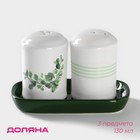 Набор для специй Доляна «Эвкалипт», солонка, перечница 130 мл, доломит, белый, зелёный - Фото 1