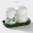 Набор для специй Доляна «Эвкалипт», солонка, перечница 130 мл, доломит, белый, зелёный - Фото 2