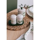 Набор для специй Доляна «Эвкалипт», солонка, перечница 130 мл, доломит, белый, зелёный - Фото 6