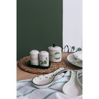 Набор для специй Доляна «Эвкалипт», солонка, перечница 130 мл, доломит, белый, зелёный - Фото 7