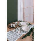 Набор для специй Доляна «Эвкалипт», солонка, перечница 130 мл, доломит, белый, зелёный - Фото 8