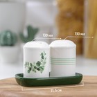 Набор для специй Доляна «Эвкалипт», солонка, перечница 130 мл, доломит, белый, зелёный - Фото 9