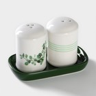 Набор для специй Доляна «Эвкалипт», солонка, перечница 130 мл, доломит, белый, зелёный - Фото 3