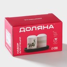 Набор для специй Доляна «Эвкалипт», солонка, перечница 130 мл, доломит, белый, зелёный - Фото 11
