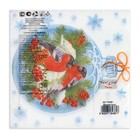 Салфетки новогодние бумажные «Зимние птички», 33×33 см, 2 слоя 20 шт. - Фото 3