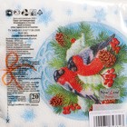 Салфетки новогодние бумажные «Зимние птички», 33×33 см, 2 слоя 20 шт. - Фото 5