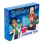 УЦЕНКА (помята упаковка) Научный опыт «Строение тела» 7314335