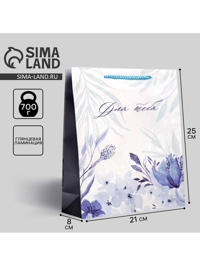 Пакет подарочный ламинированный, упаковка, For you, ML 25×21×8 см