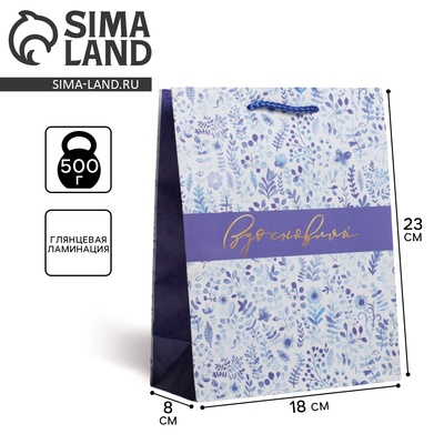 Пакет подарочный ламинированный, упаковка, «Вдохновляй», MS 18×23×8 см