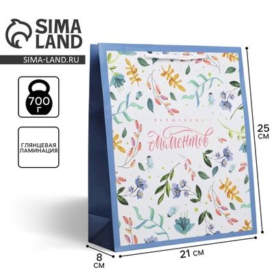 Пакет подарочный ламинированный, упаковка, Best wishes, ML 21×25×8 см