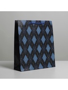 Пакет подарочный ламинированный, упаковка, «Клетка», ML 21 х 25 х 8 см (комплект 2 шт) - фото 53014139