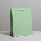 Пакет подарочный ламинированный, упаковка, «Зелёный», MS 18 х 23 х 8 см - фото 318587646