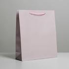 Пакет подарочный ламинированный, упаковка, «Розовый», ML 21 х 25 х 8 см - фото 318587650