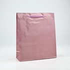 Пакет подарочный ламинированный, упаковка, «Розовый», ML 21?25?8 см (комплект 2 шт) - фото 46169656