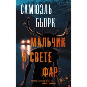 Мальчик в свете фар. Бьорк С.