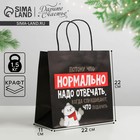 Пакет подарочный «Нормально надо отвечать», 22 × 22 × 11 см - Фото 1