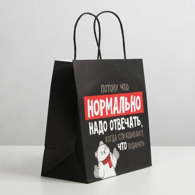 Пакет подарочный новогодний «Нормально надо отвечать», 22×22×11 см