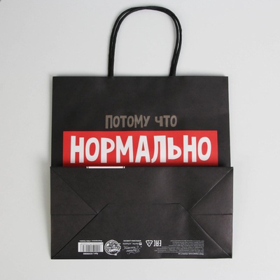 Пакет подарочный новогодний «Нормально надо отвечать», 22×22×11 см