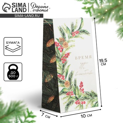 Пакет без ручек новогодний «Время волшебства», 10×19.5×7 см