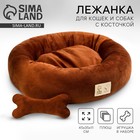 Лежанка с косточкой, 45х35х11 см, коричневая - Фото 1