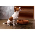 Лежанка с косточкой, 45х35х11 см, коричневая - Фото 9