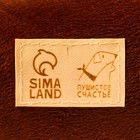 Лежанка с рыбкой, 40 х 40 см, коричневая - Фото 4