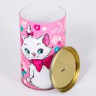 Копилка металлическая, 20,5 см х 12 см х 12 см, XXL "Marie", Коты аристократы - фото 25532395