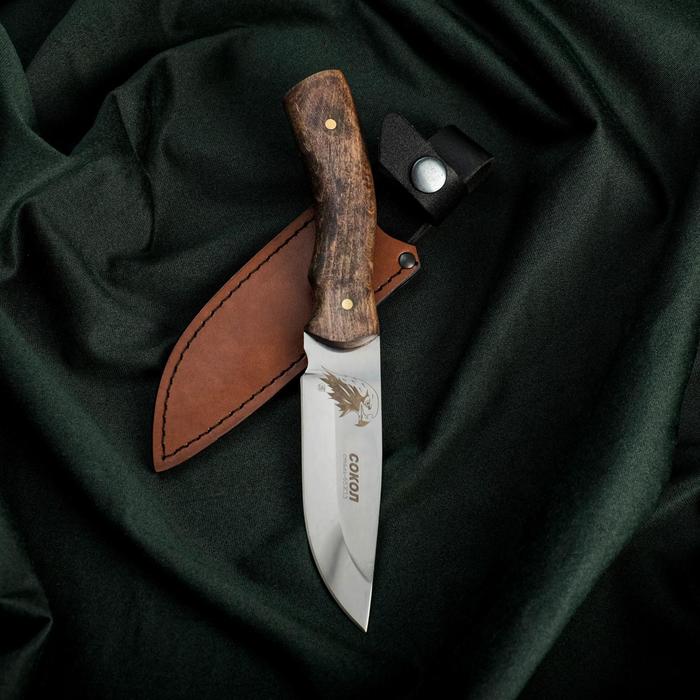Нож Сокол, нержавеюща сталь 65х13 - фото 9349214
