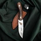 Нож Сокол, нержавеюща сталь 65х13 - Фото 4