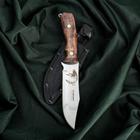 Нож Сафари, нержавеюща сталь 65х13 - фото 318589569