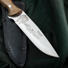 Нож Беркут, нержавеюща сталь 65х13 - Фото 2