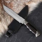 Нож кавказский "Беркут 2" сталь - 65Х13, гарда - фото 318589607