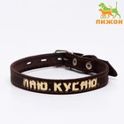Ошейник кожаный однослойный, тиснёный «Лаю. Кусаю», 48×2, ОШ 32-43 см, коричневый с золотом - Фото 1