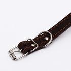 Ошейник кожаный однослойный, тиснёный «Лаю. Кусаю», 48×2, ОШ 32-43 см, коричневый с золотом - Фото 4