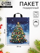 Пакет новогодний «Зимняя красавица», полиэтиленовый с петлевой ручкой, 28×35 см, 50 мкм - Фото 1