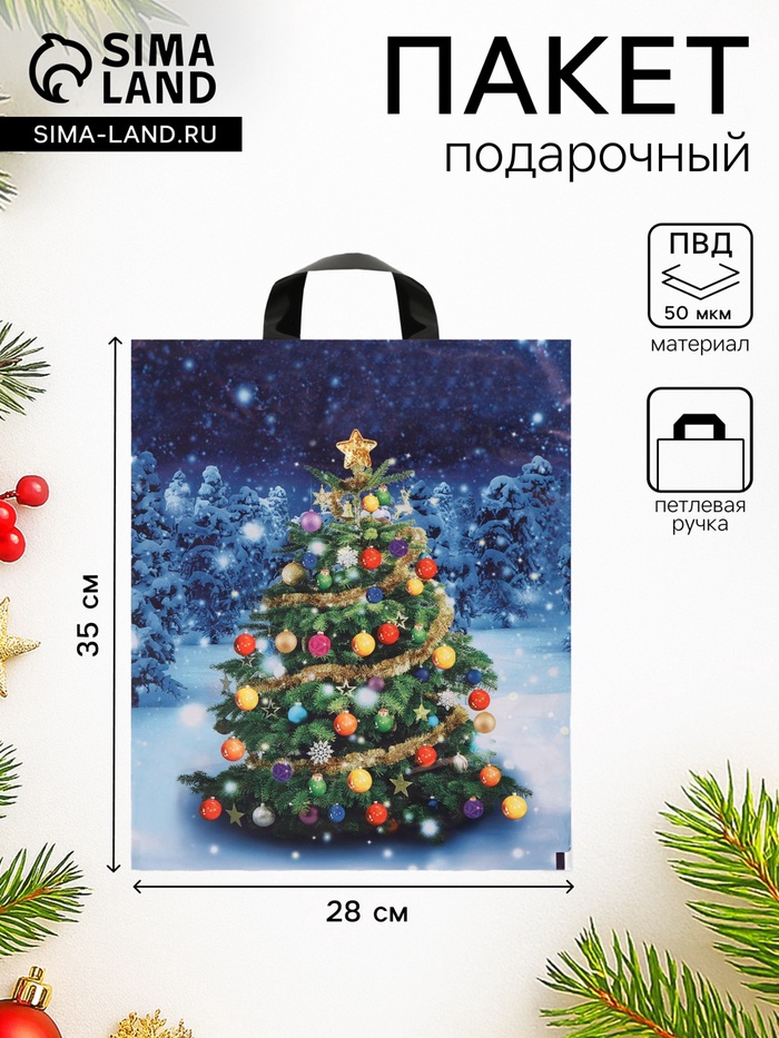 Пакет новогодний «Зимняя красавица», полиэтиленовый с петлевой ручкой, 28×35 см, 50 мкм - Фото 1