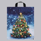 Пакет новогодний «Зимняя красавица», полиэтиленовый с петлевой ручкой, 28×35 см, 50 мкм - Фото 2