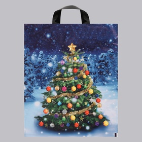 Пакет новогодний «Зимняя красавица», полиэтиленовый с петлевой ручкой, 28?35 см, 50 мкм (комплект 20 шт)