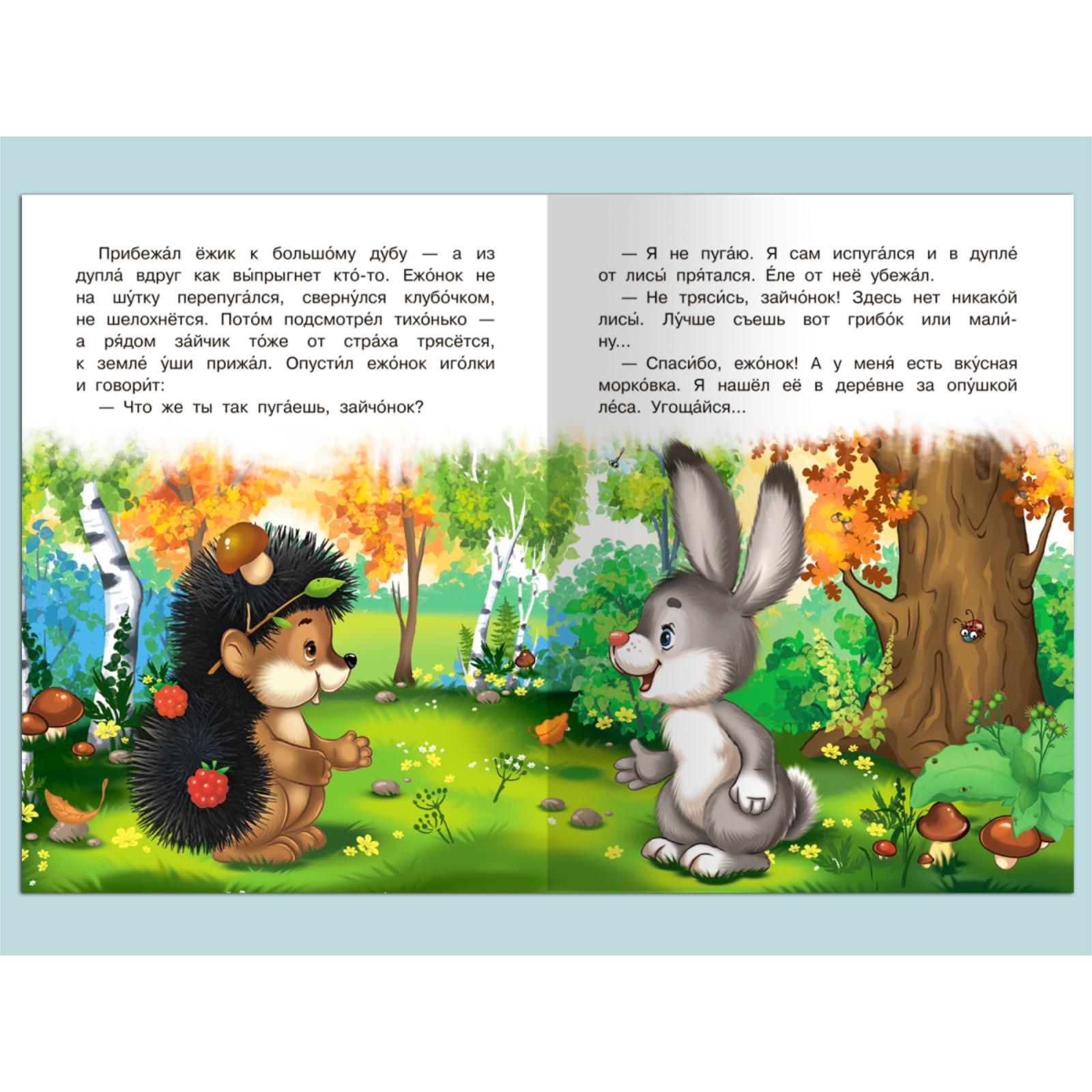 Сказка про ежика. Сказка про ежика которого. Сказка с ёжиком. Сказка еж. Сказка про ежика для детей.