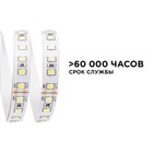 Светодиодная лента Apeyron Electrics 5 м, IP20, SMD3528, 120 LED/м, 10 Вт/м, 24 В, 4000К - фото 23829599