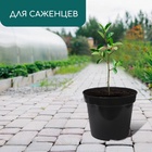 Горшок для рассады, 20 л, d=38 см, h=25 см, чёрный, Greengo - Фото 3