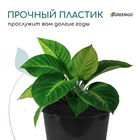 Горшок для рассады, 20 л, d = 35,5 см, h = 30,5 см, чёрный, Greengo - Фото 5