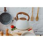 УЦЕНКА Чайник со свистком Magistro Stone, 2,7 л, ручка soft-touch, индукция, цвет бежевый - Фото 3