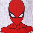Корзина для игрушек"Spider-man" Человек-паук , 33*33*31 см - Фото 3